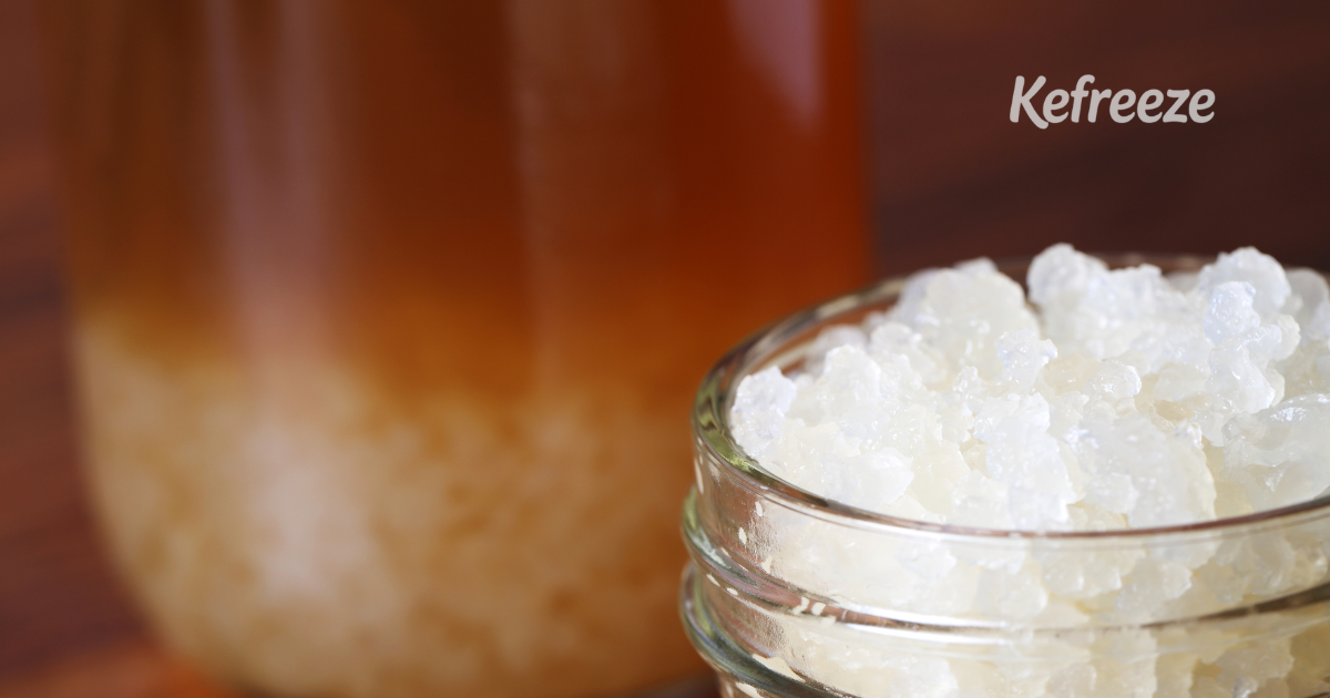 7 Lợi Ích Bất Ngờ Của Nước Kefir Với Sức Khoẻ Của Phụ Nữ
