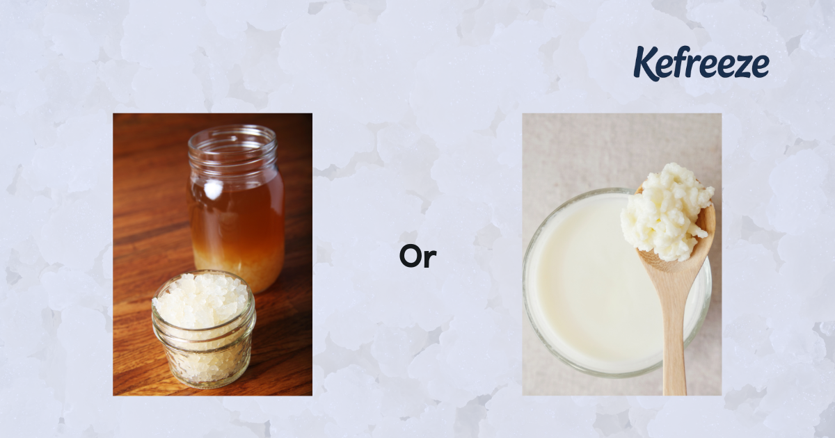Sữa Kefir Hay Nước Kefir Phù Hợp Hơn Với Bạn?